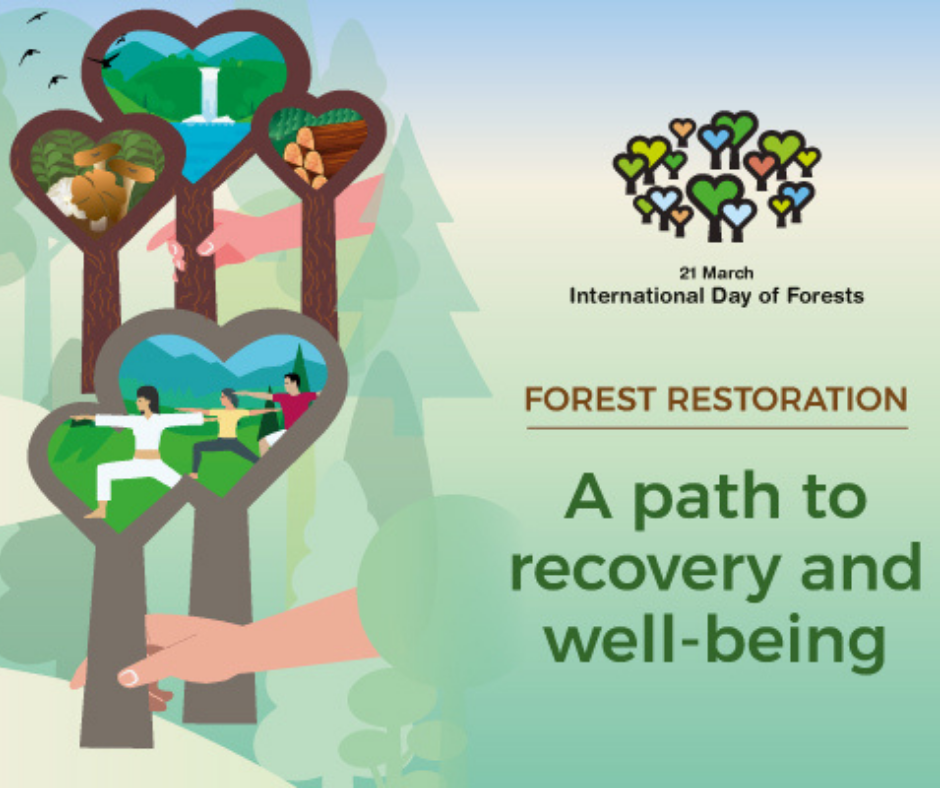 International Day of Forests