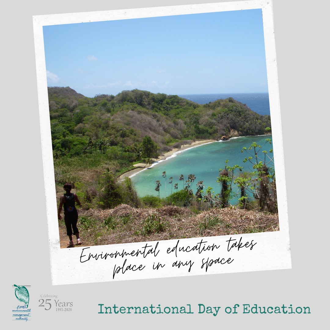 International day for education