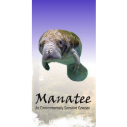 manatee-Max-Quality (1)