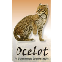 ocelot-Max-Quality (1)