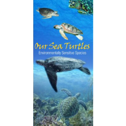 seaturtles-Max-Quality