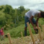 COVER PHOTO_MEWEGREEN Participants installing the Vetiver System in Moruga Nov 21' - IAMovement