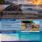 Media Release - Trinidad and Tobago’s giants are back 2026 Leatherback Turtle nesting season begin