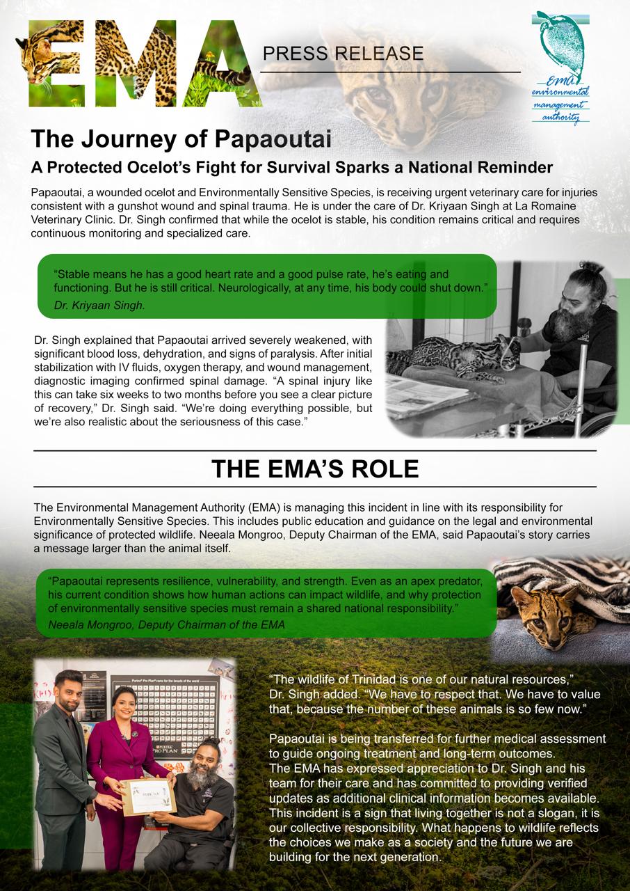 The Journey of Papaoutai