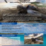 f1db2466-13d1-4676-8199-fbf79317ae4a